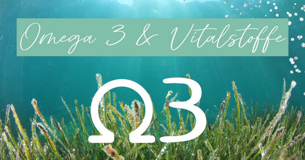 Omega 3 und Vitalstoffe