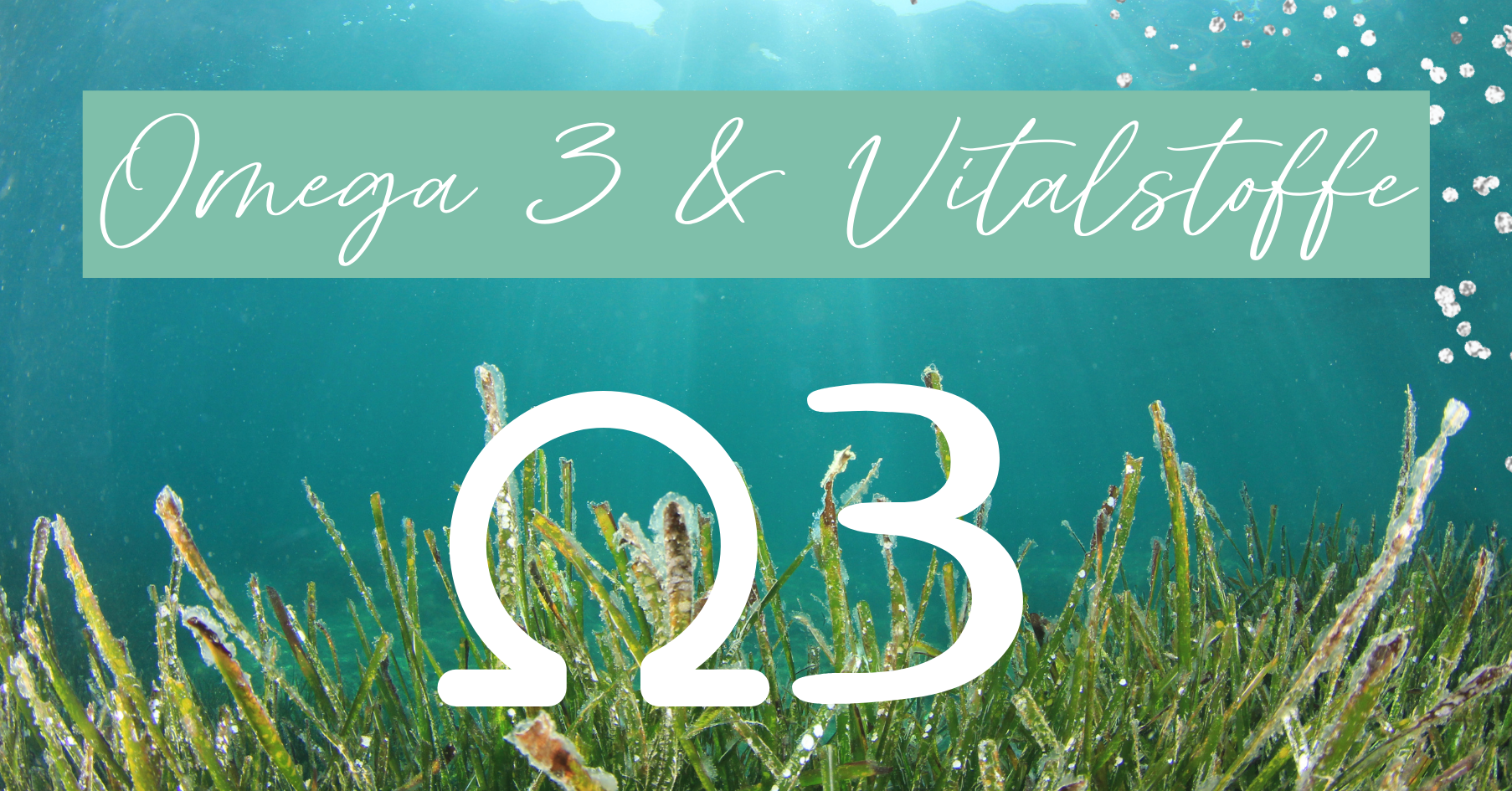 Omega 3 und Vitalstoffe